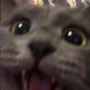 Meet your Posher, Joseph